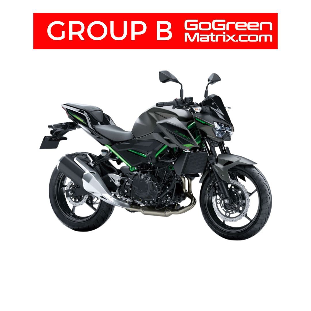 Modenas Z250 (M) or Similar - B